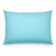 Phoenix Nightcloud Pillow